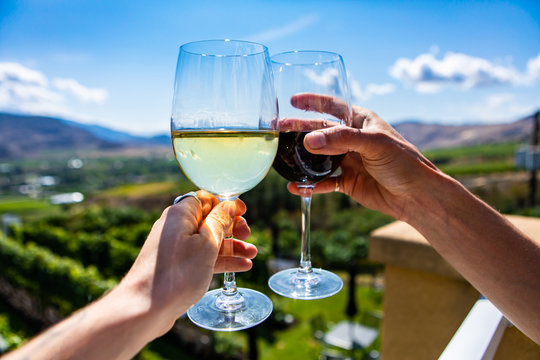 wine-tour